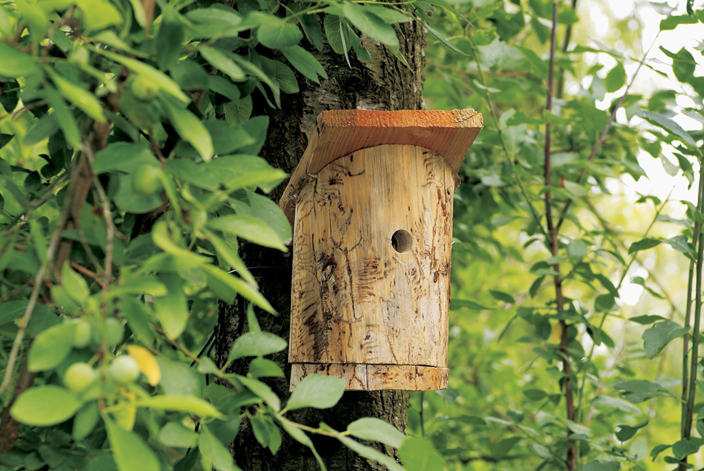 10 ideas con troncos y rodajas de madera ¡lleva la naturaleza a tu hogar!